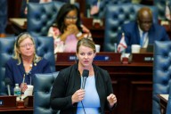 Fiona McFarland moves to shield foster families with privacy bill