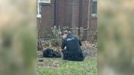 Ohio Rescuers Watch A Wounded Dog Shut Down, Until One Kind Voice Reaches Her