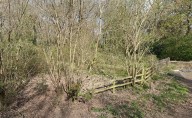 Manhunt after woman attacked in ‘serious sexual assault’ in woods