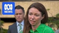 Mackenzie Anderson's mother's fight leads to proposed law for tougher jail terms for DV killers