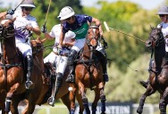 Onda verde y azul: Jeta Castagnola hace de a 10, su equipo gana y el rival clavó un bombazo de ¡140 yardas!