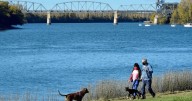 Sol y fuertes ráfagas en Neuquén y Río Negro este domingo: los peores horarios del viento en el Alto Valle