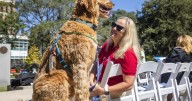 Photos: MUSC celebrates 20th anniversary of therapy dog program