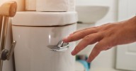 Breaking 'little known' toilet law at home could trigger unlimited fine