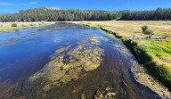 EPA clears Montana’s environmental regulator to loosen water quality standards