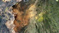 Esta es la Situación Actual del Derrame de Hidrocarburo en el Río Pantepec en Álamo, Veracruz