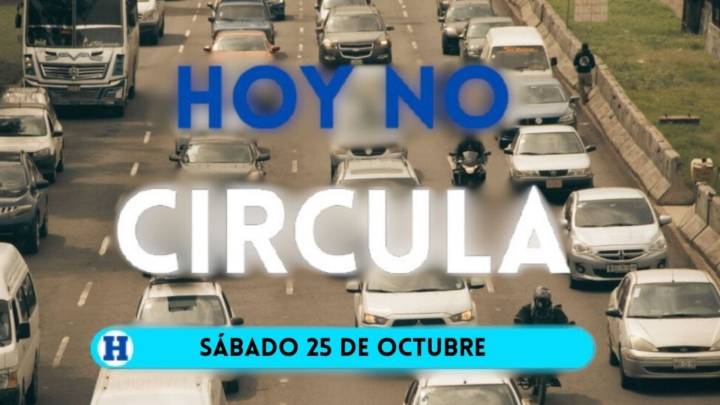 Hoy No Circula: ¿qué autos no podrán circular el sábado 25 de octubre?