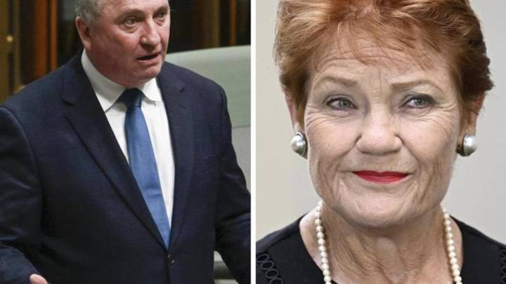 Pauline Hanson says she will ‘open doors’ for Barnaby Joyce at One Nation after split with Nationals
