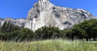 Admired climber dies in fall from Yosemite's El Capitan during apparent live