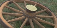 West Texas A&M and Eastern New Mexico coaches, former player talk about “Wagon Wheel” rivalry