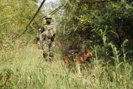 Search Operations Underway After Pak Drone Sighting Along IB In J&K’s Samba