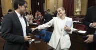 El PSIB se abre a negociar para que el PP «esté cómodo» con los cambios en la ecotasa: «Que no haya excusas»
