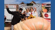 California engineer wins pumpkin contest with 2,346
