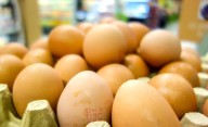 ¿Cúantos huevos se come al día? Colombia alcanza consumo récord