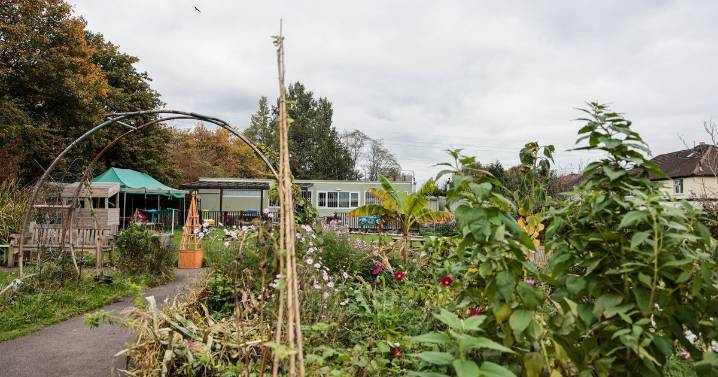 Inside the once forgotten spot transformed into a magical ‘secret garden’