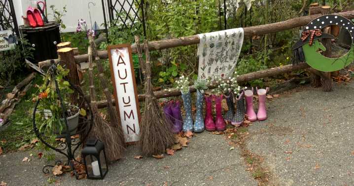 Orono woman sets up roadside flower stand