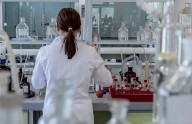 Identifican una proteína como posible diana terapéutica para prevenir el hígado graso