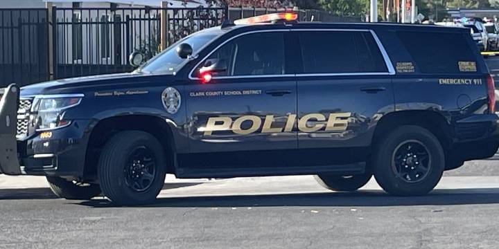 CCSD elementary teacher arrested on child abuse charges, police say