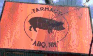 Farmacy employee speaks out after closure leaves workers without paychecks