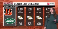 Freeze warnings, frost advisories in effect Saturday morning