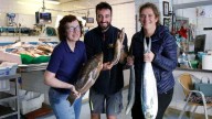 Del carro tirado por un burro a la gastronomía de lujo: La asombrosa historia de la pescadería Pescados Miró de Palma