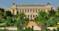 Second Paris museum heist as woman arrested over €1.5m gold theft after Louvre heist