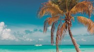 Riviera Maya: un viaje entre el turquesa del mar y la historia viva