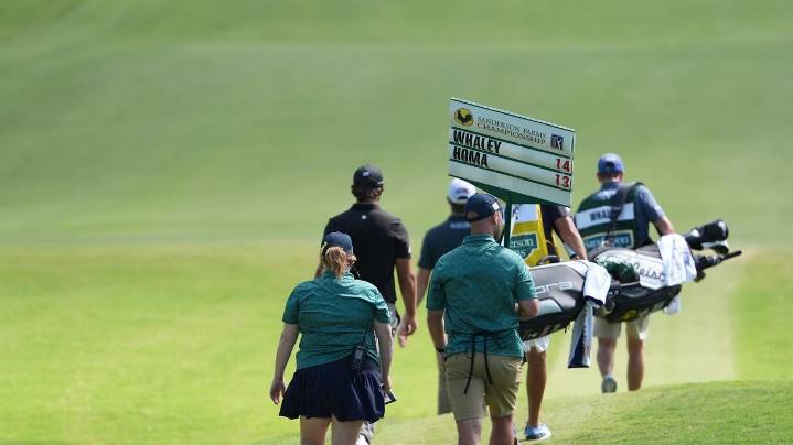 Vince Whaley has an audience with a set of teeth. He hits shot with alligator behind him