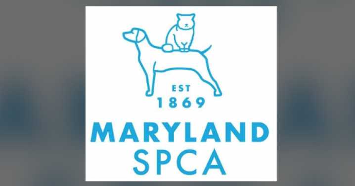 Maryland SPCA stops dog intakes for at least a month over canine flu