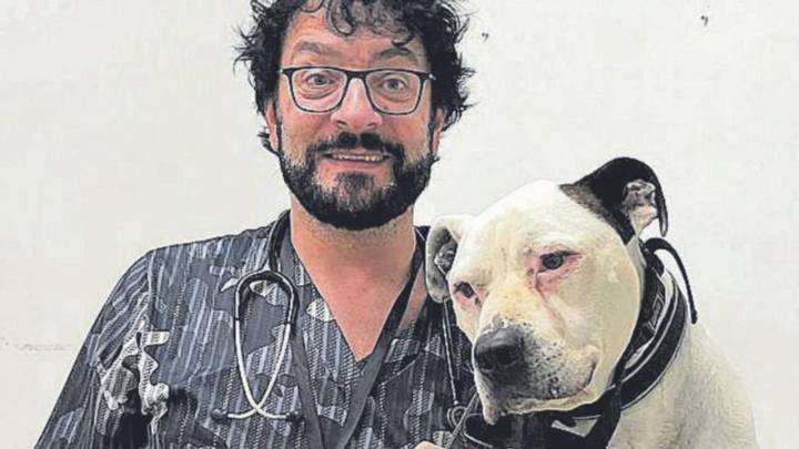 Mascotas como terapia: «Los animales nos ayudan a modular el dolor»