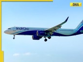 IndiGo flight sees major mid-air scare, second incident in four days
