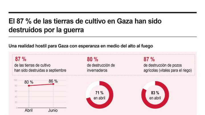 [Infografía] El 87 % de las tierras de cultivo en Gaza han sido destruidas por la guerra