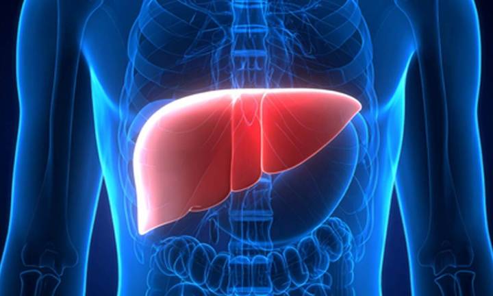 Ayush Ministry, ICMR to host national seminar to boost liver health through Ayurveda