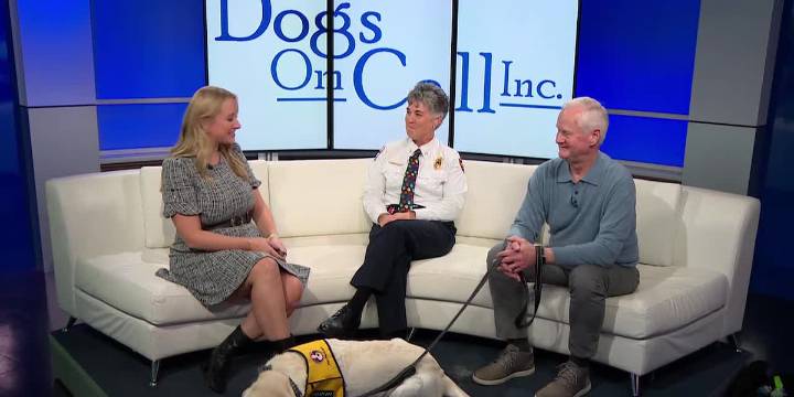 Madison Fire Dept. forms new partnership with animal therapy nonprofit
