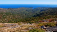 Acadia National Park Remains Open, But Experts Warn Consequences Could Be Felt Until 2028