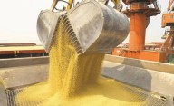 Cifra récord: en septiembre, el agro liquidó más de 7 mil millones de dólares