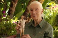 BioPark Perspective: Dr. Jane Goodall's impact on Albuquerque zoology