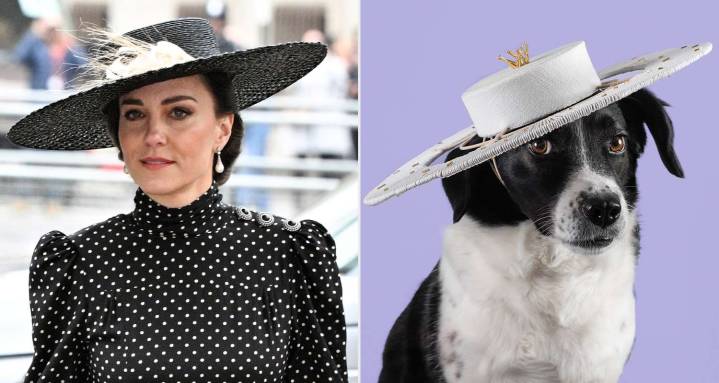 Kate Middleton's Milliner Launches 2026 Calendar Featuring Dogs in Hats