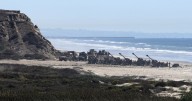 Patrol vehicle hit by shrapnel as Marines fired live artillery over California interstate, highway patrol says