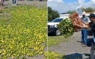 Citricultores vacían toneladas de limón; exigen precios justos