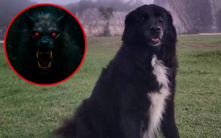 Cachimba, la perrita guardiana de Chichén Itzá que habría enfrentado a una entidad