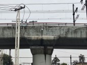Sin riesgo en la Línea 12: Semovi y Sobse descartan anomalía estructural