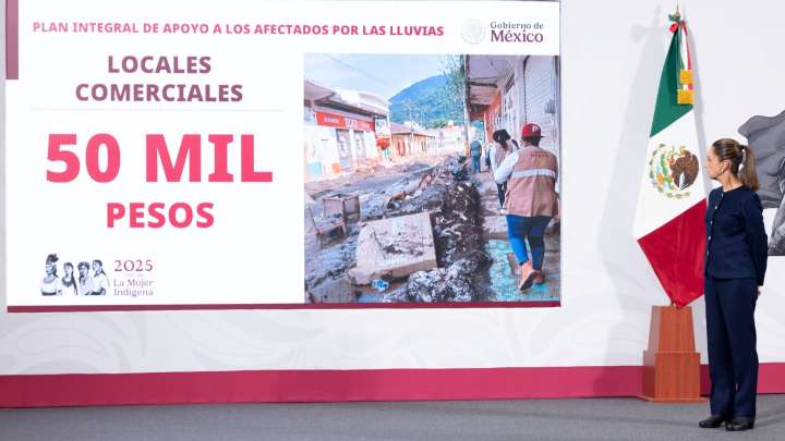 Nuevo Apoyo Bienestar: ¿Quiénes Recibirán Hasta 100 Mil Pesos?