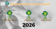 Abierto el plazo para presentar candidaturas al certamen árbol, bosque y bosque urbano del año 2026