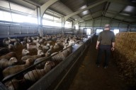 La transformación de los sistemas alimentarios puede reducir sus emisiones anuales a más de la mitad