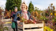 Fast-Growing Flowers You Can Still Plant In October