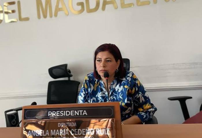 Juzgado anula la multa y arresto a la presidenta de la Asamblea del Magdalena