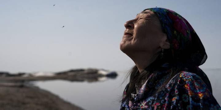Trump opens up the Arctic refuge, one of America's last untouched wilds, to drilling