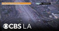 Pedestrian struck and killed on 110 Freeway in South Los Angeles