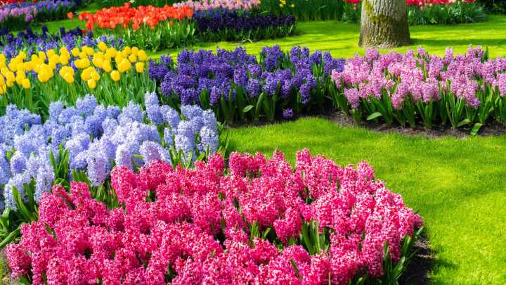 The Flower Bed Trend You'll Start Seeing Everywhere In 2026
